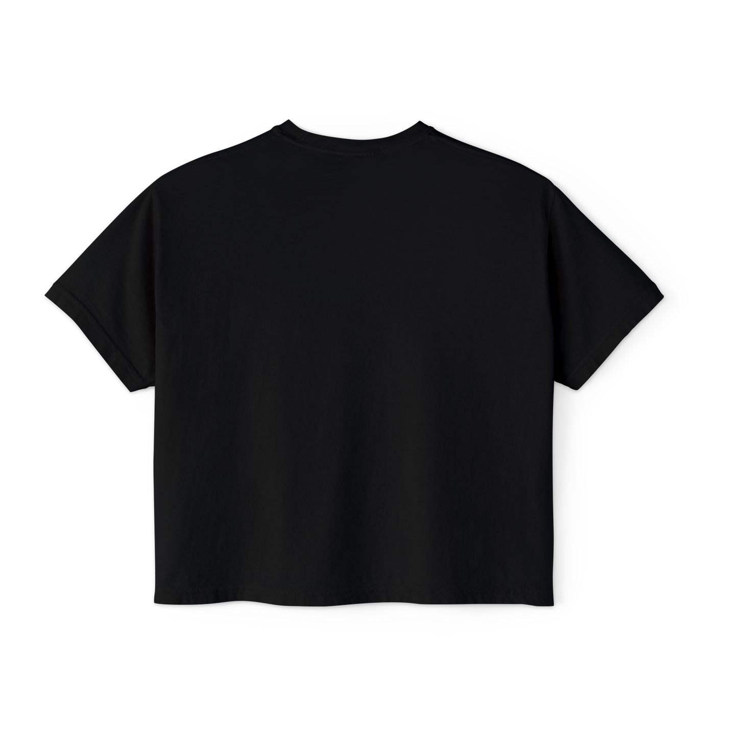 Virginia Beach Line Art Women's Boxy Tee in ##color-pattern##