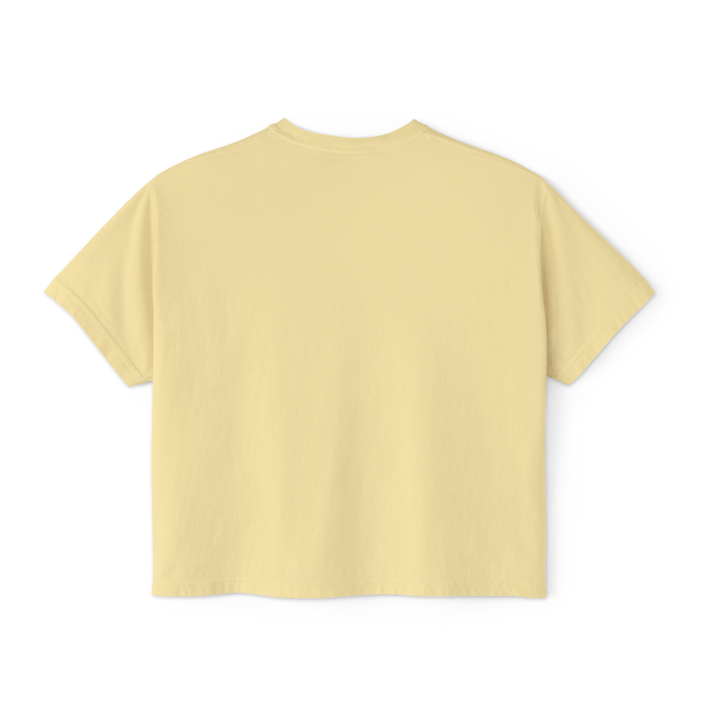 Virginia Beach Line Art Women's Boxy Tee in ##color-pattern##