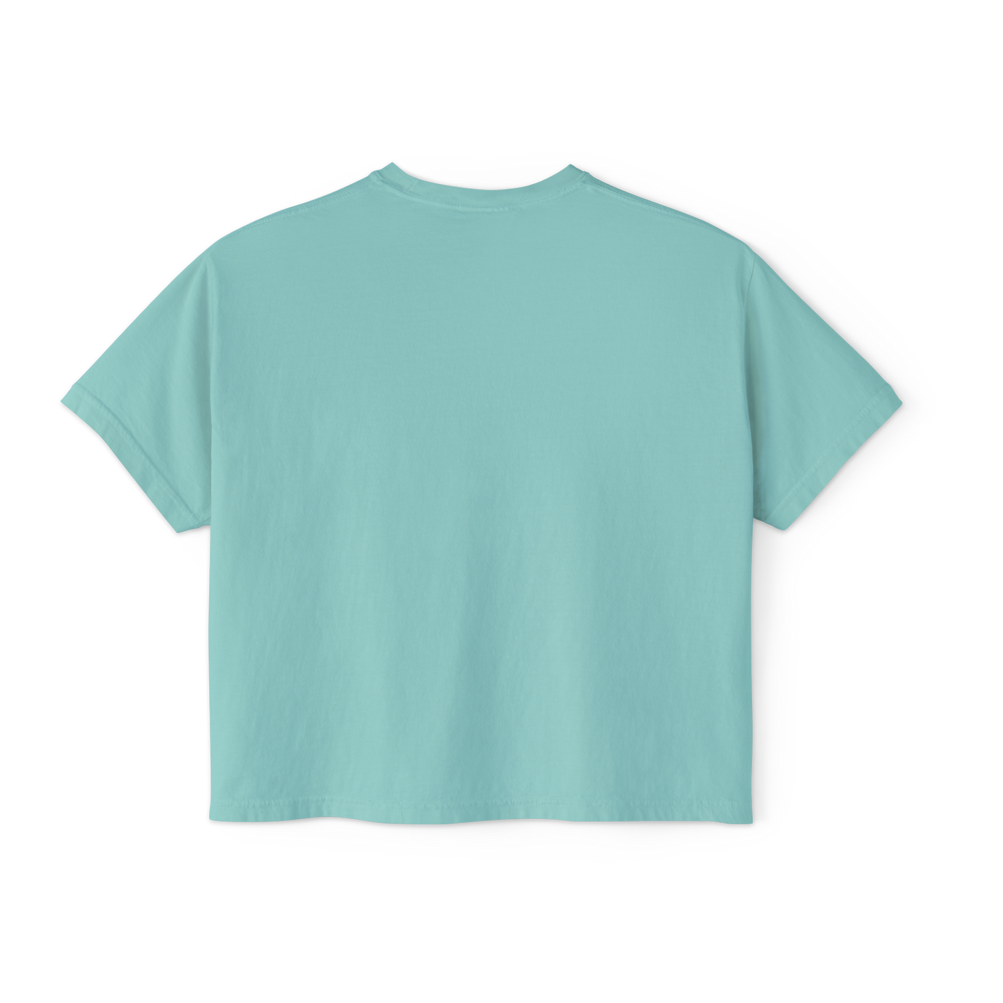 Virginia Beach Line Art Women's Boxy Tee in ##color-pattern##